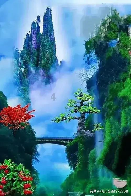 考考你们，一只羊在路上与一群老虎相遇，为什么那只羊一点都不怕，还踩扁、踩烂了几只老虎？游戏画面