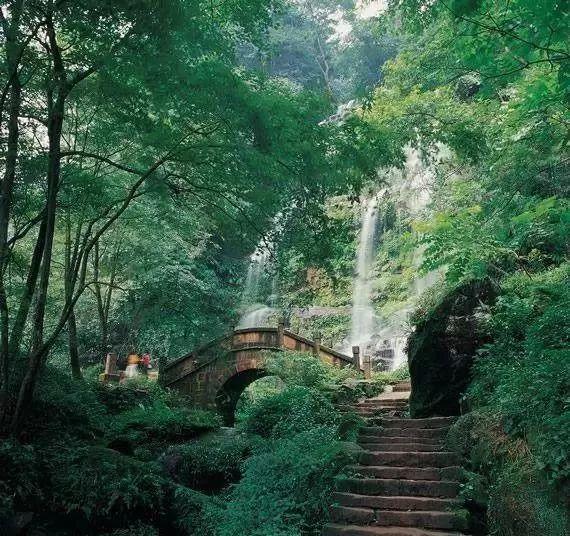 动物帮帮忙保卫家园
