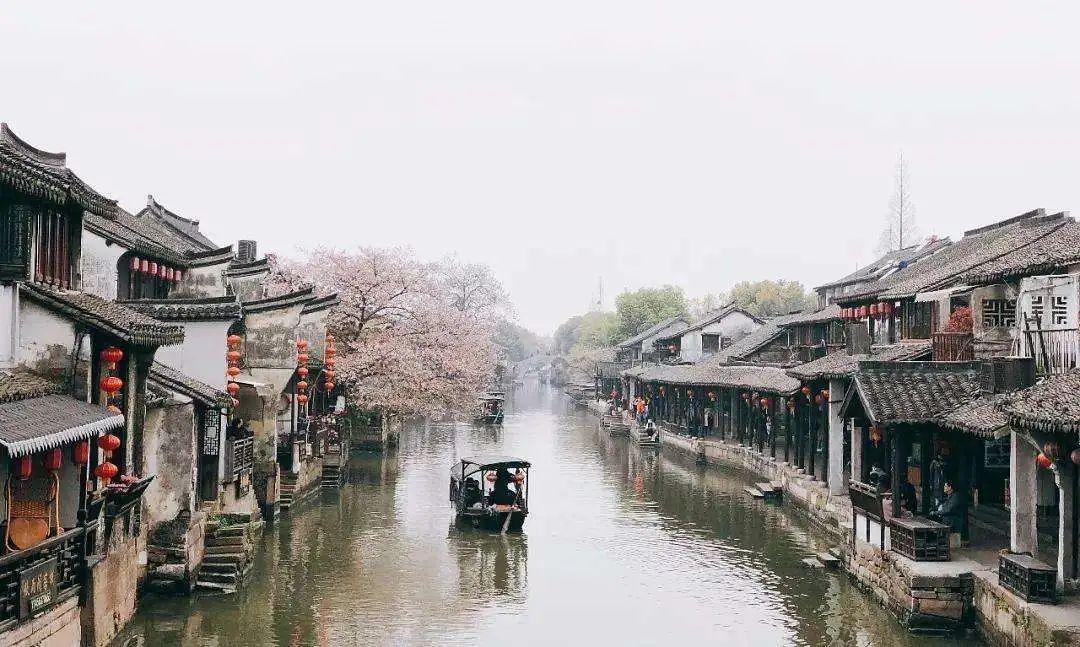 僵尸粉碎机